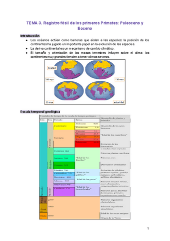 TEMA-3.-Registro-fosil-de-los-primeros-Primates-Paleoceno-y-Eoceno.pdf