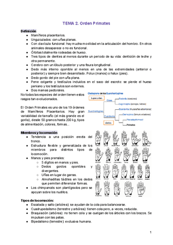 TEMA-2.-Orden-Primates.pdf