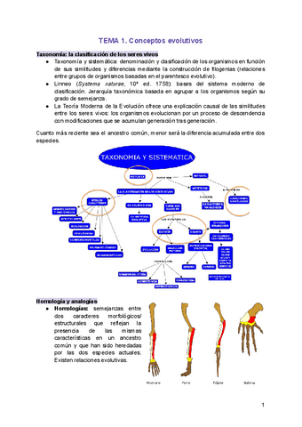 TEMA-1.-Conceptos-evolutivos.pdf