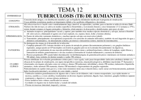 Temas 12-18 Rumiantes INF II.pdf