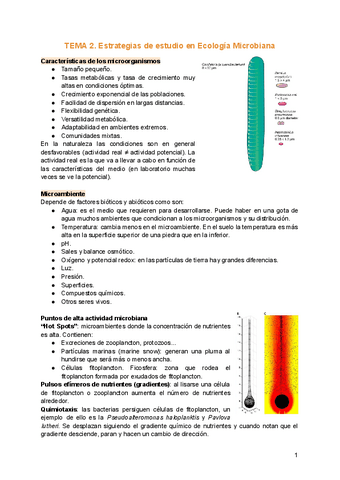 TEMA-2.-Estrategias-de-estudio-en-Ecologia-Microbiana.pdf