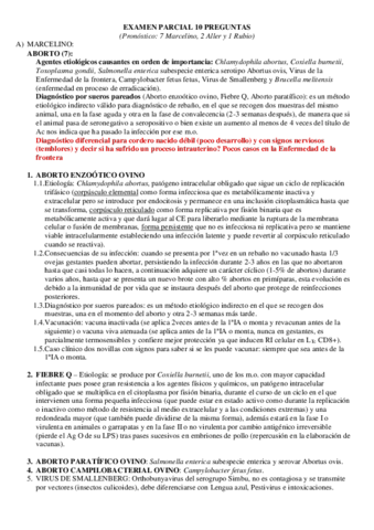 Preguntas más frecuentes INF II 1ºparcial.pdf