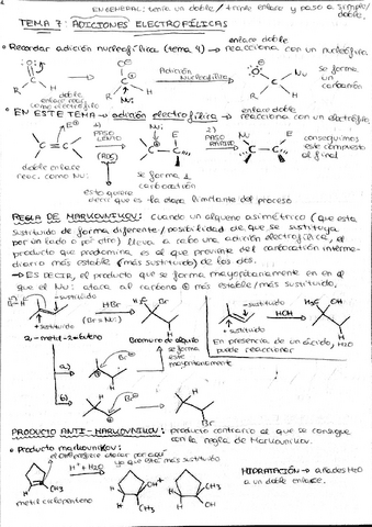 Quimica-organica-tema-7.pdf