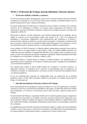 temario-d.-trabajo.pdf