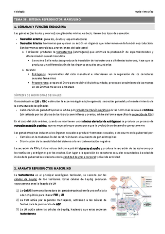 TEMA 38 - Sistema reproductor masculino.pdf
