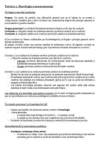 Neurofisio-ChinaFerreres-Primer-parcial.pdf