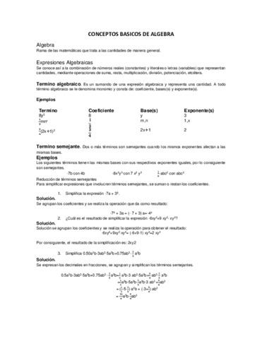 CONCEPTOS-BASICOS-DE-ALGEBRA.pdf