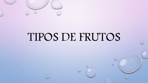 TIPOS-DE-FRUTOS.pdf