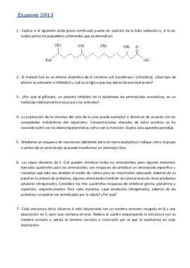 Examen Metabolismo 2013.pdf