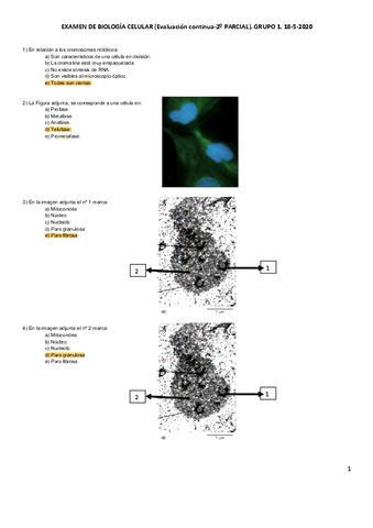 examen-2.pdf