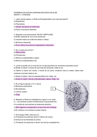preguntas-segunda-parte.pdf