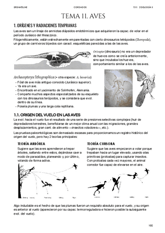 Tema-11-Aves.pdf
