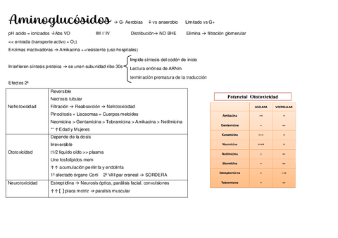 Inhibidores-sintesis-de-proteinas.pdf