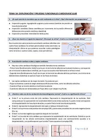 EJERCICIOS-TP-TEMA-3.pdf