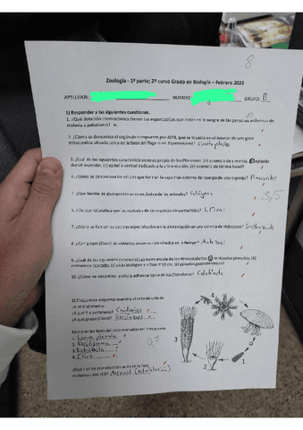 Examen-Zoo-Bloque-I-y-II- RESUELTO-NOTA-8.pdf