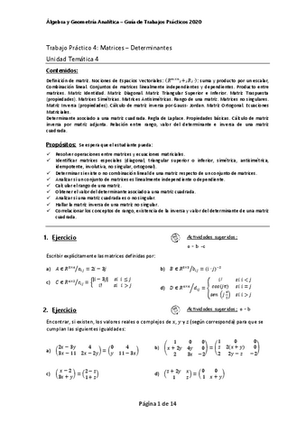 4-Matrices-y-Determinantes-Unidad-Tematica-4-2020.pdf