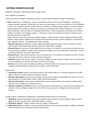 1.1 el sistema cardiovascular.pdf