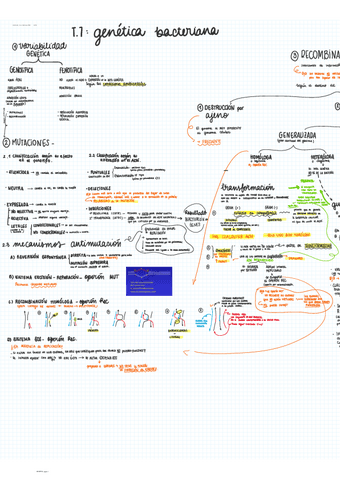 GENETICA-BACTERIANA.pdf