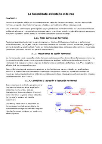 5.1 Generalidades sitema endocrino .pdf