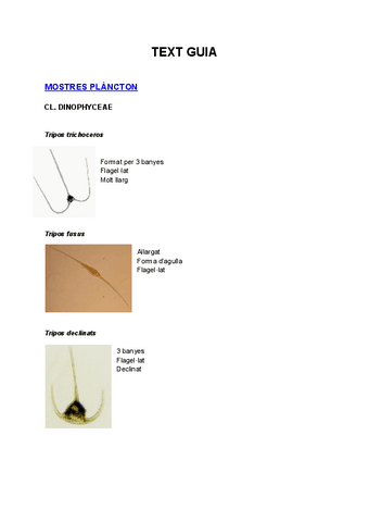 TEXT-GUIA.pdf