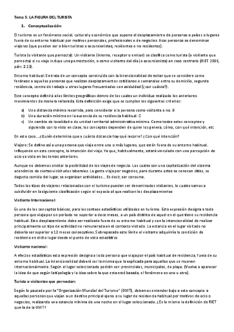 Tema-5-LA-FIGURA-DEL-TURISTA.pdf