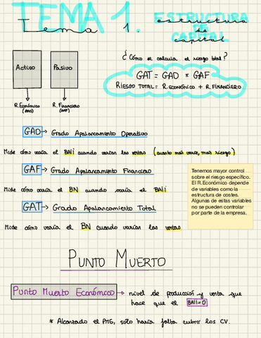 Todos los Temas y ejercicios resueltos.pdf