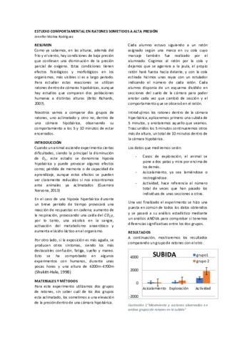 informe 2.pdf