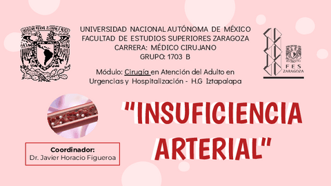 Expo.-Insuficiencia-Arterial.pdf