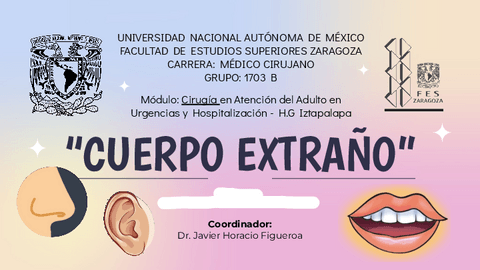 Expo.-Cuerpos-Extranos.pdf