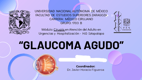 Expo.-Glaucoma-Agudo.pdf