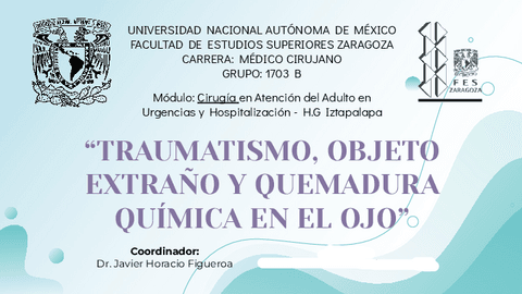 Expo.-Traumatismo-Objeto-Ext-y-Quemaduras-del-Ojo.pdf