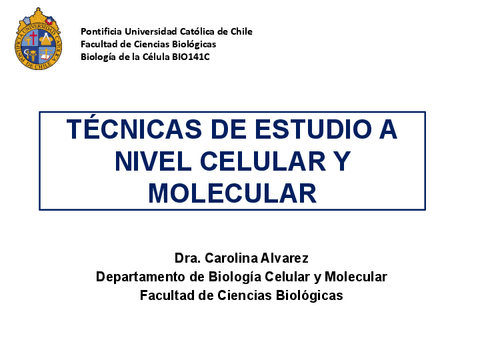 Clase-11-Tecnicas-de-estudio.pdf