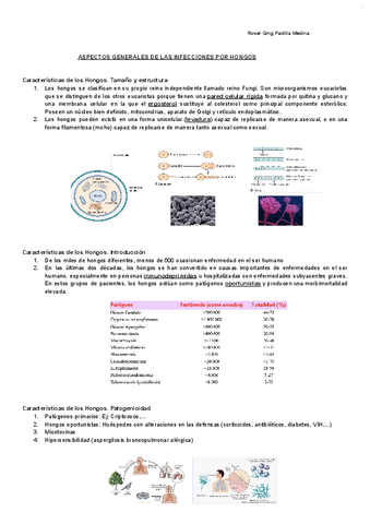 ASPECTOS-GENERALES-DE-LAS-INFECCIONES-POR-HONGOS-Documentos-de-Google.pdf