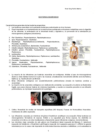 BACTERIAS-ANAEROBIAS-Documentos-de-Google.pdf