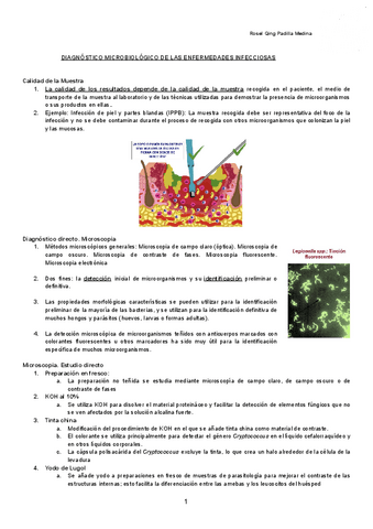 DIAGNOSTICO-MICROBIOLOGICO-DE-LAS-ENFERMEDADES-INFECCIOSAS-Documentos-de-Google.pdf