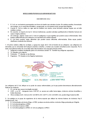INFECCIONES-POR-BACILOS-GRAM-NEGATIVOS-Documentos-de-Google.pdf