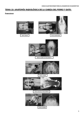 COSAS-QUE-RECORDAR-PARA-EL-EXAMEN-DE-DIAGNOSTICO.pdf