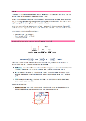 T2-horto.pdf