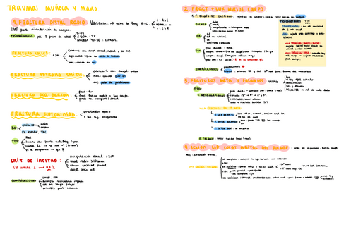 Tema-5-Trauma.pdf