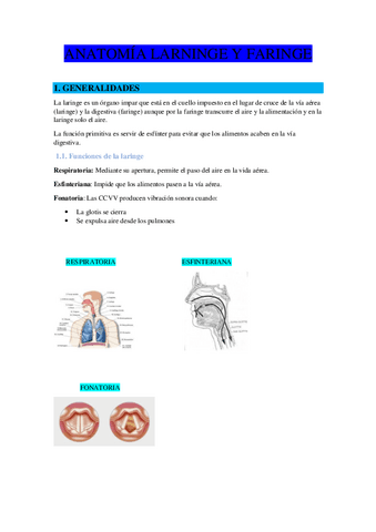 T.1-ANATOMIA-LARNINGE-Y-FARINGE.pdf