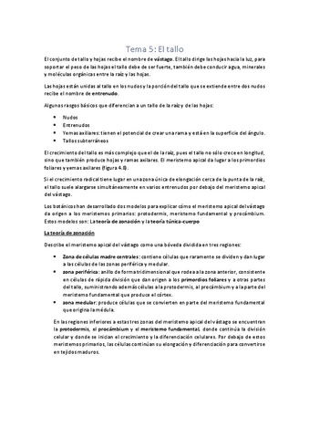 tema5-el-tallo-pdf.pdf