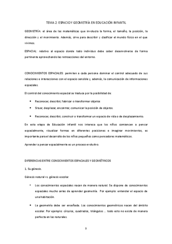 TEMA-2-GEOMETRIA-Y-ESPACIO.pdf