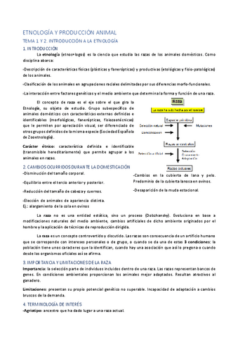 ETNOLOGIA-BA-y-GESTION-22-23.pdf