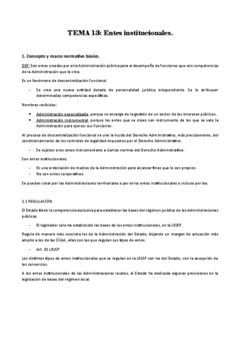 TEMA-13.pdf