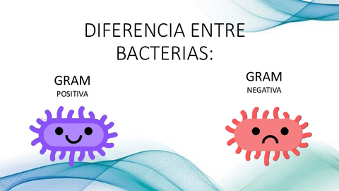 DIFERENCIA-ENTRE-BACTERIAS.pdf