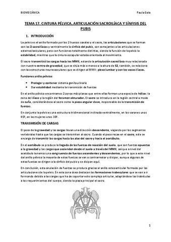 TEMA-17.-CINTURA-PELVICA-ARTICULACION-SACROILIACA-Y-SINFISIS-DEL-PUBIS.pdf