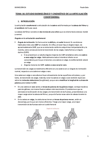 TEMA-18.-ESTUDIO-BIOMECANICO-Y-CINEMATICO-DE-LA-ARTICULACION-COXOFEMORAL.pdf