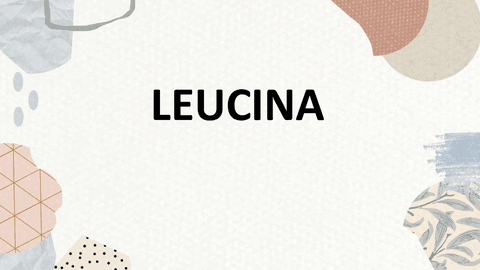 La-leucina.pdf