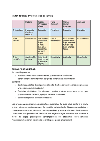 APUNTES-T.-3-4-y-5-CONOCIMIENTO-DEL-MEDIO.pdf