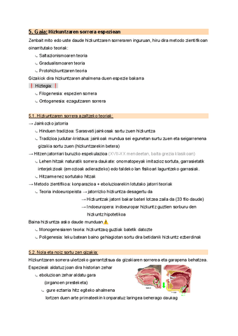 5.-Hizkuntzaren-sorrera-espeziean.pdf